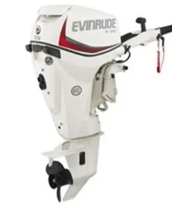 2017 Evinrude 25 HP E-Tec E25DRG Outboard Motor
