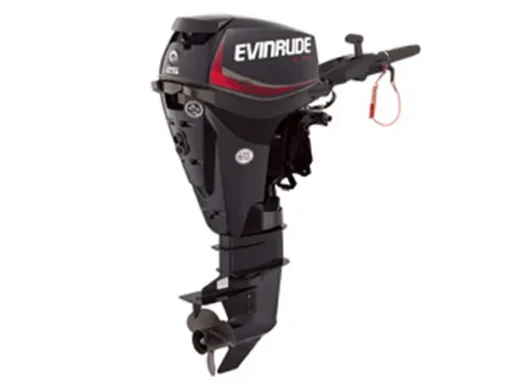 2017 Evinrude 25 HP E25DRGL E-Tec Outboard Motor