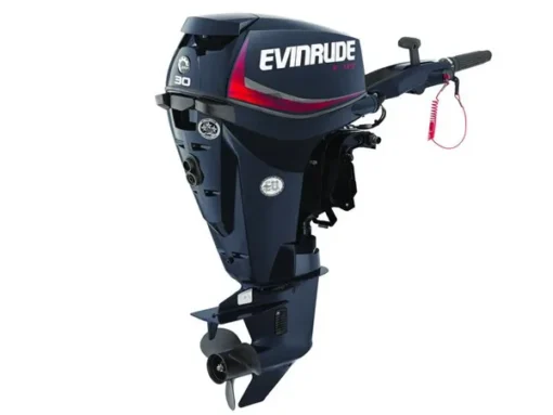 2018 Evinrude E-TEC 30 HP E30DRG Outboard Motor