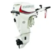 2018 Evinrude E-TEC 30 HP E30DRS Outboard Motor