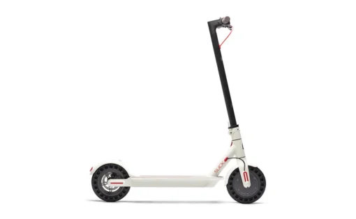 2024 Belize Buzz Slick 350W 36V Lithium Electric Scooter, 11301