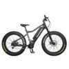 2024 Rambo R750XPS Xtreme Performance Mid Drive Fat Tire Electric Bike, Carbon