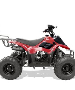 Coolster Mini 110cc Sport ATV