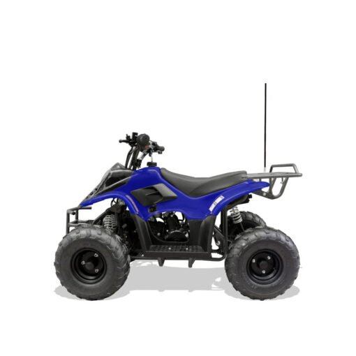 Coolster Mini 110cc Sport ATV