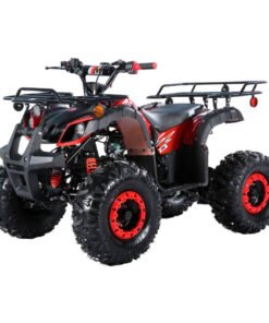 TrailMaster B125 125cc Utility ATV