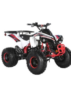 TrailMaster C125 125cc Sport ATV