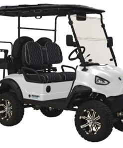 MASSIMO MEV2X ELECTRIC GOLF CART, POWERFUL 48V 5KW MOTOR WITH TOUCHSCREEN DISPLAY AND INTERFACE