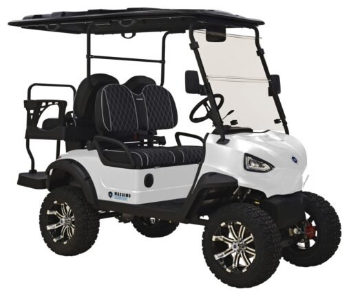 MASSIMO MEV2X ELECTRIC GOLF CART, POWERFUL 48V 5KW MOTOR WITH TOUCHSCREEN DISPLAY AND INTERFACE