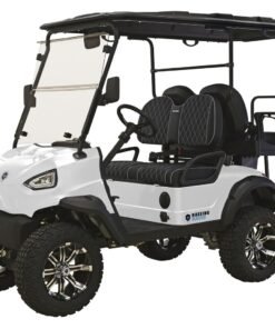 MASSIMO MEV2X ELECTRIC GOLF CART, POWERFUL 48V 5KW MOTOR WITH TOUCHSCREEN DISPLAY AND INTERFACE