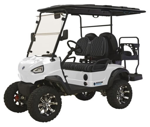 MASSIMO MEV2X ELECTRIC GOLF CART, POWERFUL 48V 5KW MOTOR WITH TOUCHSCREEN DISPLAY AND INTERFACE