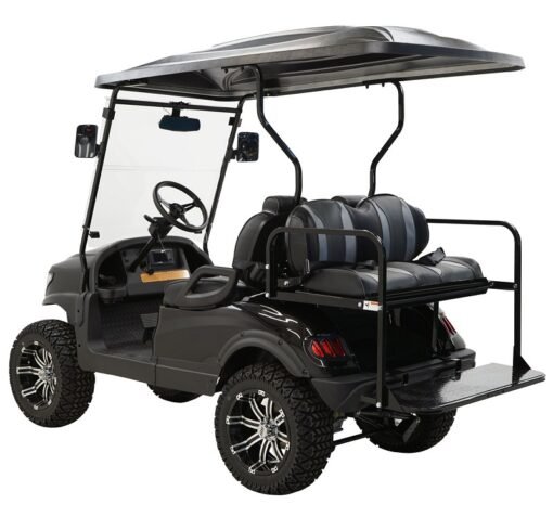 MASSIMO MGC2X 48V CREW GOLF CART