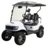 MASSIMO MGC2 48V GOLF CART UTV, 48V AC MOTOR