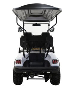 MASSIMO MGC2 48V GOLF CART UTV, 48V AC MOTOR