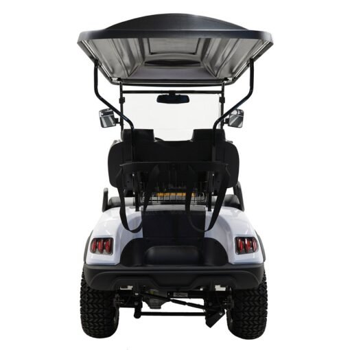 MASSIMO MGC2 48V GOLF CART UTV, 48V AC MOTOR