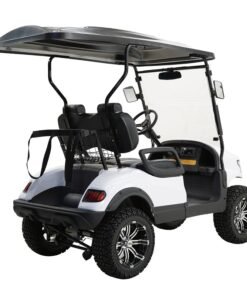 MASSIMO MGC2 48V GOLF CART UTV, 48V AC MOTOR