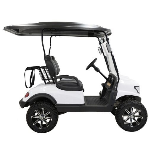 MASSIMO MGC2 48V GOLF CART UTV, 48V AC MOTOR