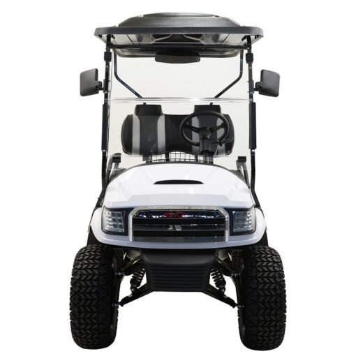 MASSIMO MGC2 48V GOLF CART UTV, 48V AC MOTOR