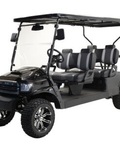 MASSIMO MGC4 48V GOLF CART UTV, 48V AC MOTOR