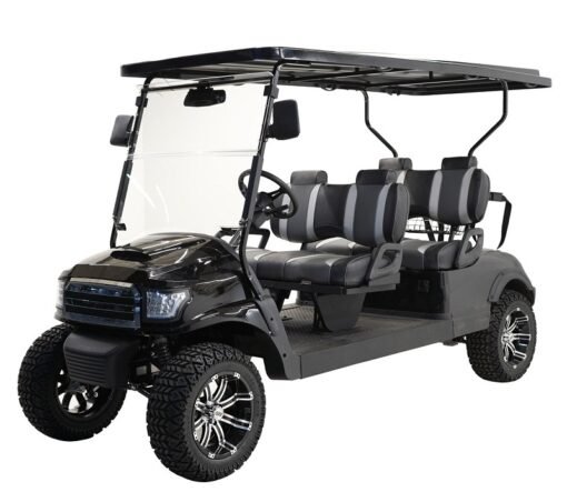 MASSIMO MGC4 48V GOLF CART UTV, 48V AC MOTOR