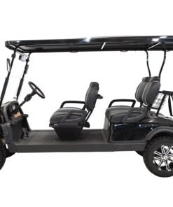 MASSIMO MGC4 48V GOLF CART UTV, 48V AC MOTOR