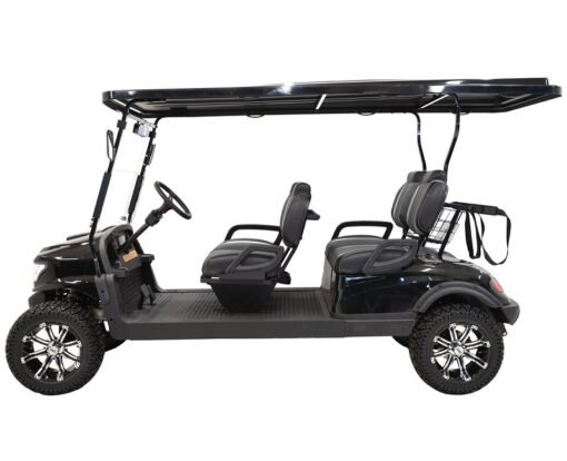 MASSIMO MGC4 48V GOLF CART UTV, 48V AC MOTOR