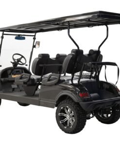 MASSIMO MGC4 48V GOLF CART UTV, 48V AC MOTOR