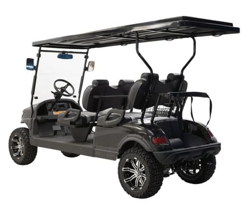 MASSIMO MGC4 48V GOLF CART UTV, 48V AC MOTOR