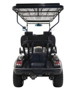 MASSIMO MGC4 48V GOLF CART UTV, 48V AC MOTOR