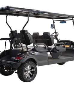 MASSIMO MGC4 48V GOLF CART UTV, 48V AC MOTOR