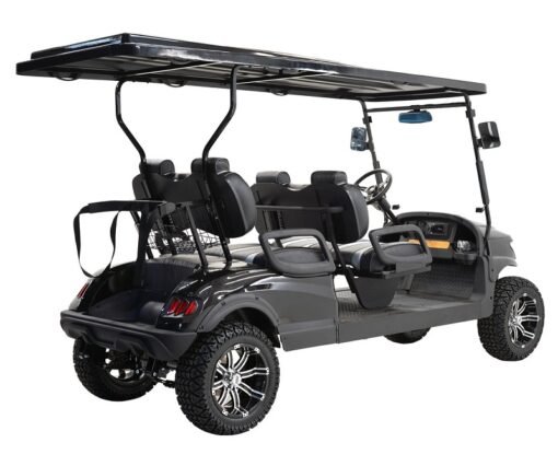 MASSIMO MGC4 48V GOLF CART UTV, 48V AC MOTOR