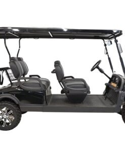 MASSIMO MGC4 48V GOLF CART UTV, 48V AC MOTOR