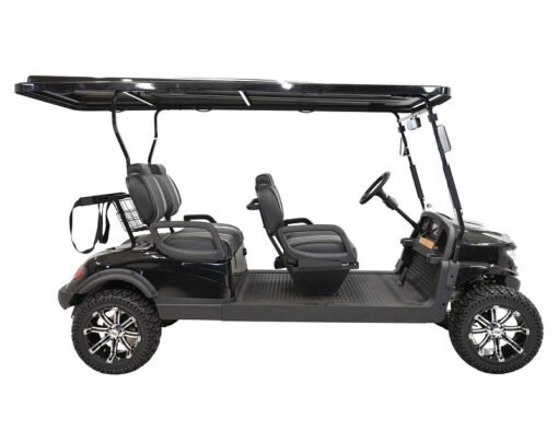 MASSIMO MGC4 48V GOLF CART UTV, 48V AC MOTOR