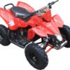 PFW Sahara X 350W 24V Mini Quad Kids Electric All-Terrain Vehicle ATV