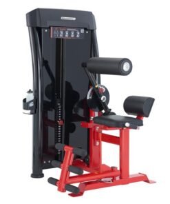Steelflex JGAB900 Abdominus Curl/Back Extension Jungle Gym Single Station Weight Machine