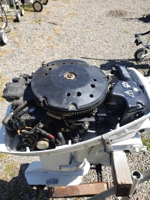 Johnson 15 HP